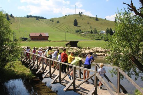 Little Berry: týždenný športovo - pohybový tábor